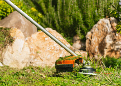 Débroussaillage d'un jardin