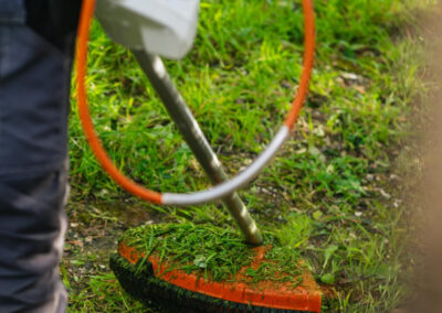Débroussaillage d'un jardin