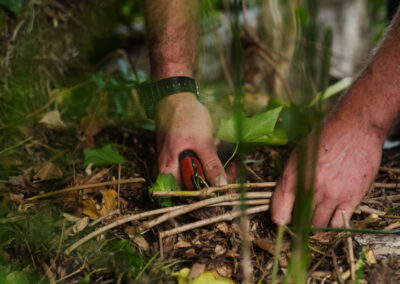 Entretien d'un jardin